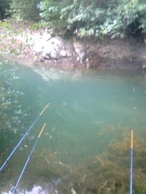 Прикрепленное изображение: Фото0037.jpg